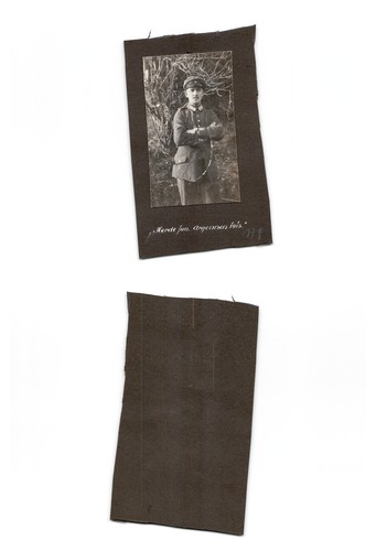 Argonnen herde - ,