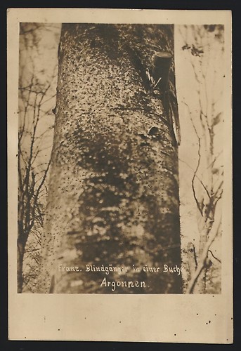 Foto französischer - foto-ak,