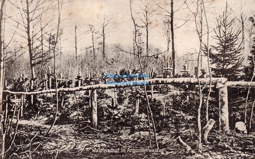 Argonnen - ak,