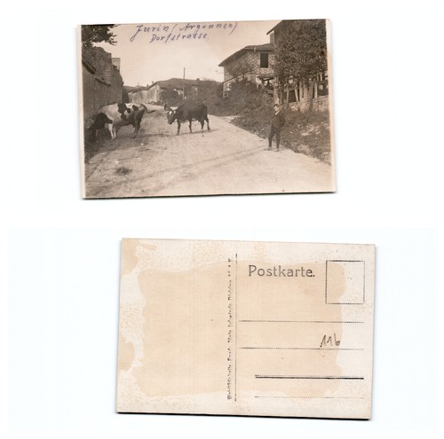 Juvin argonnen - ,