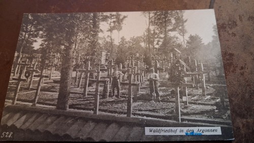 Waldfriedhof in den - ak,