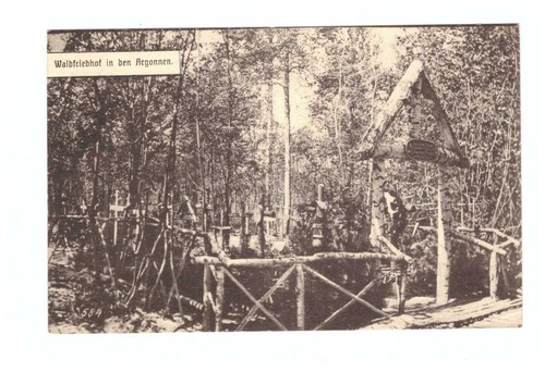 Waldfriedhof den - waldfriedhof, in