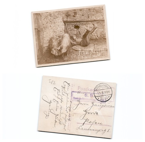 Argonnen - (b73539a273),