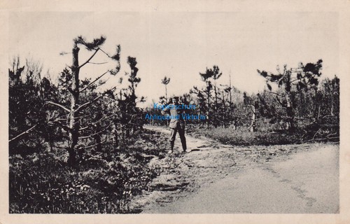 Argonnen pionier regiment - argonnen, pionier-regiment