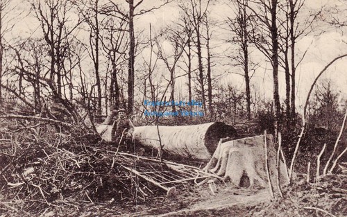 Argonnen wohl - ak,