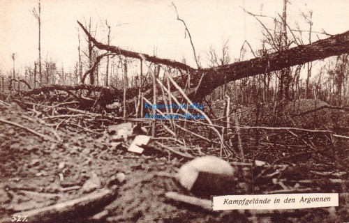 Kampfgelände den - kampfgelände, in
