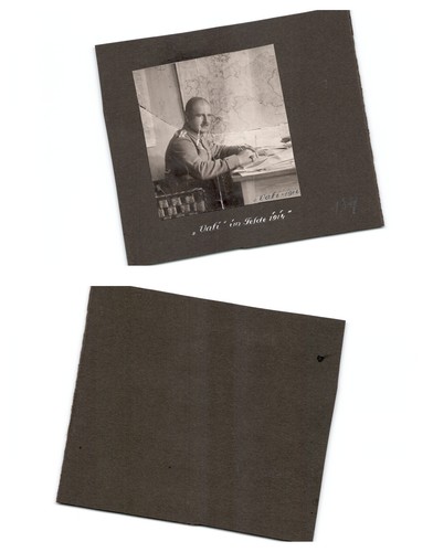 Argonnen herde - (n8299a181),