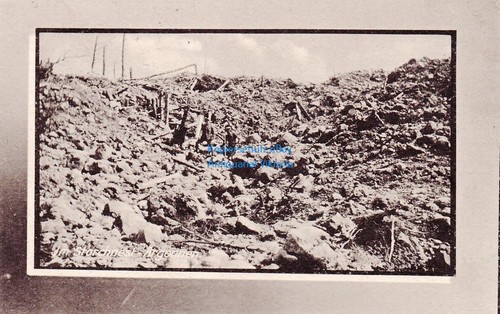 Storchennest argonnen - ak,