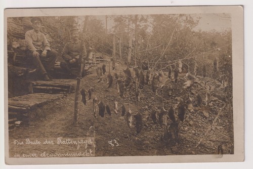 Original foto deutsche - original,