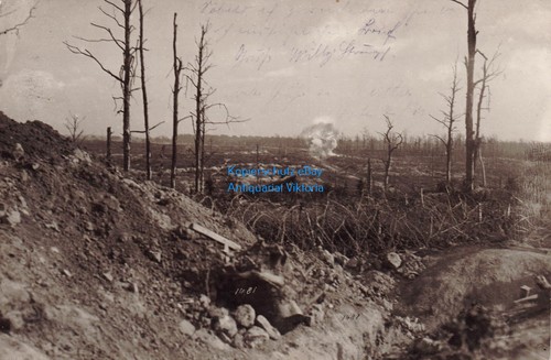 Wohl - ak,